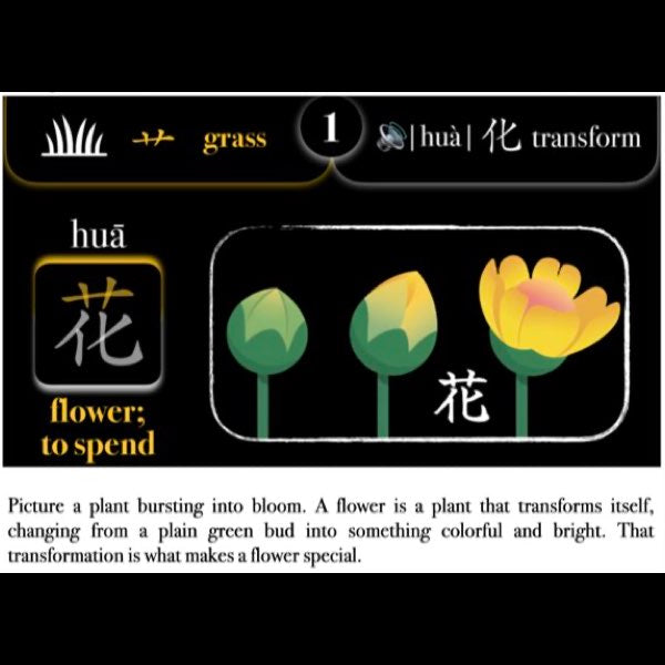 Companion Packet for Character (汉字) Story [艹-Grass]