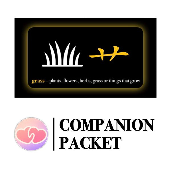 Companion Packet for Character (汉字) Story [艹]